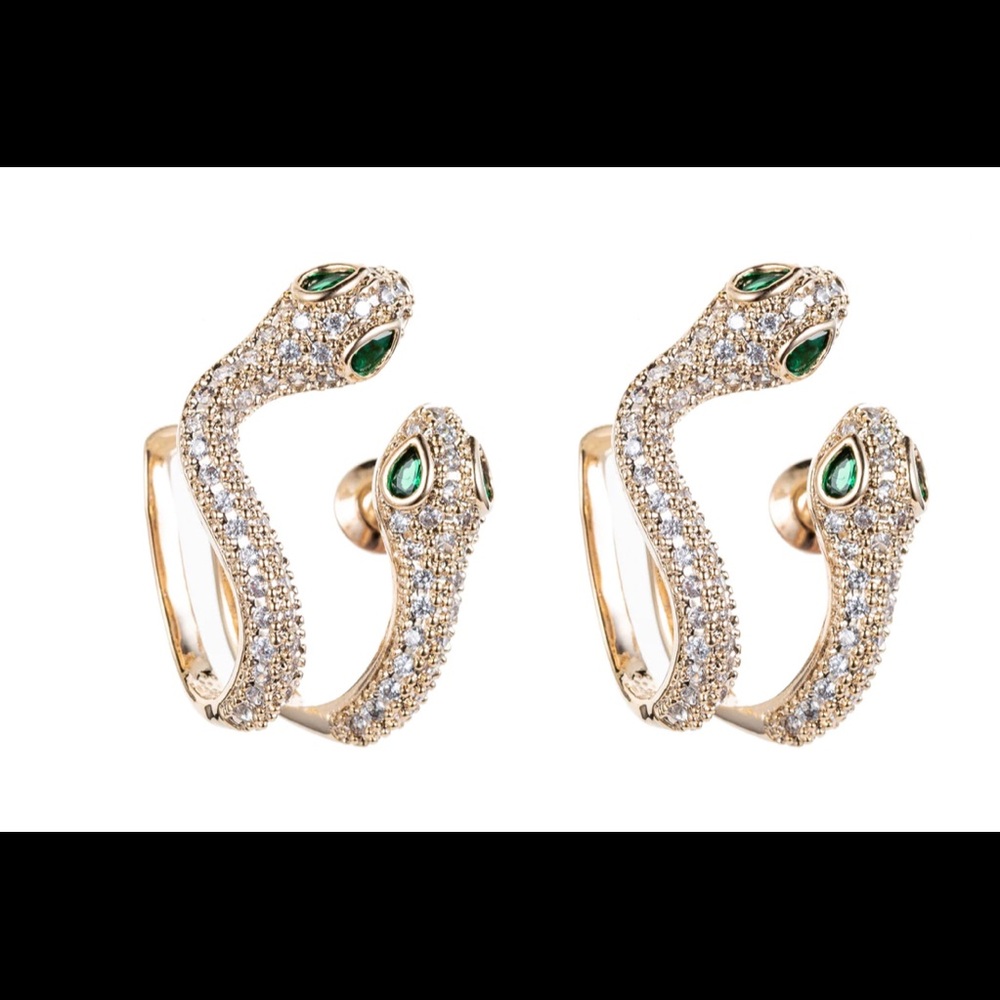 Snake 🐍 silver earrings